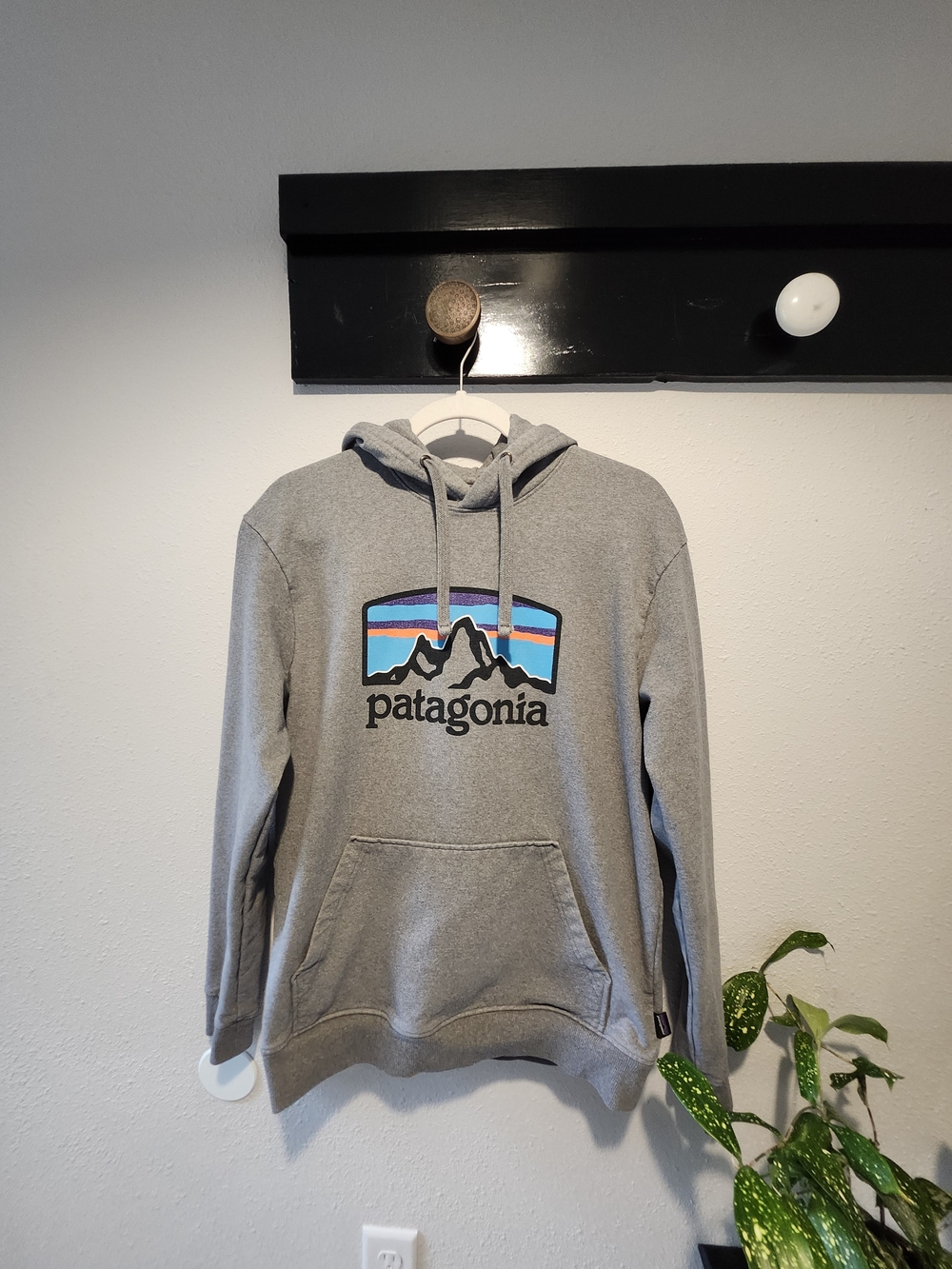 Patagonia Men's Gray Pullover Hoodie with Logo